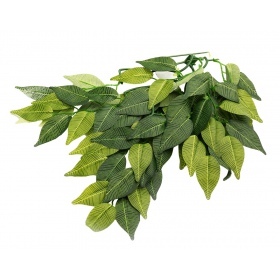 Repti-Zoo hanging plant Ficus 40cm